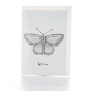 Butterfly Greetings Card - With Love