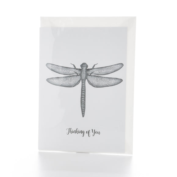 Dragonfly Greetings Card - Thinking of You