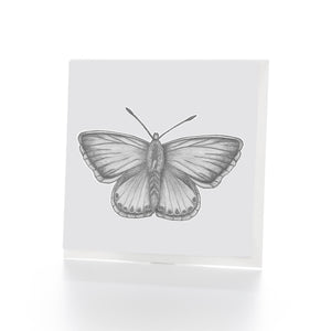 Butterfly Greetings Card