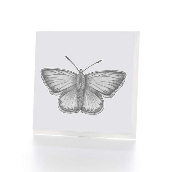 Butterfly Greetings Card