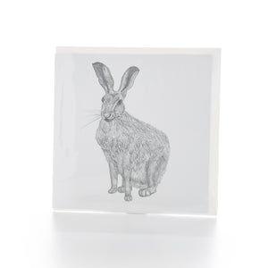 Hare Greetings Card