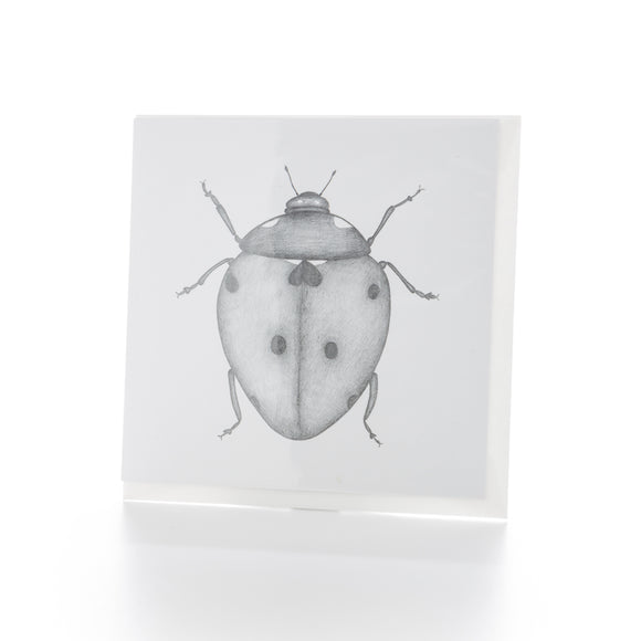 Ladybird Greetings Card