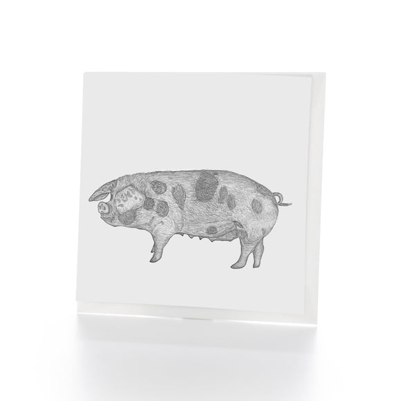 Pig Greetings Card
