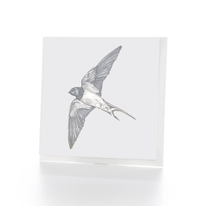 Swallow Greetings Card