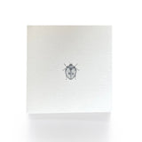 Notecards - Set of 8